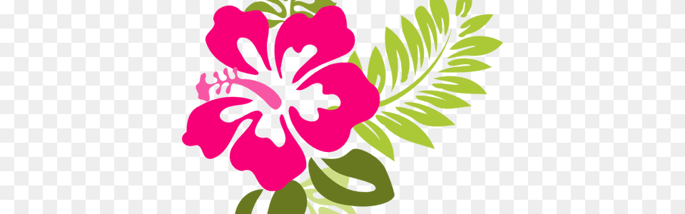 Beautiful Flowers Hawaiian Flower Vector Hawaiian Flower Clipart, Plant, Hibiscus, Art, Floral Design Png Image