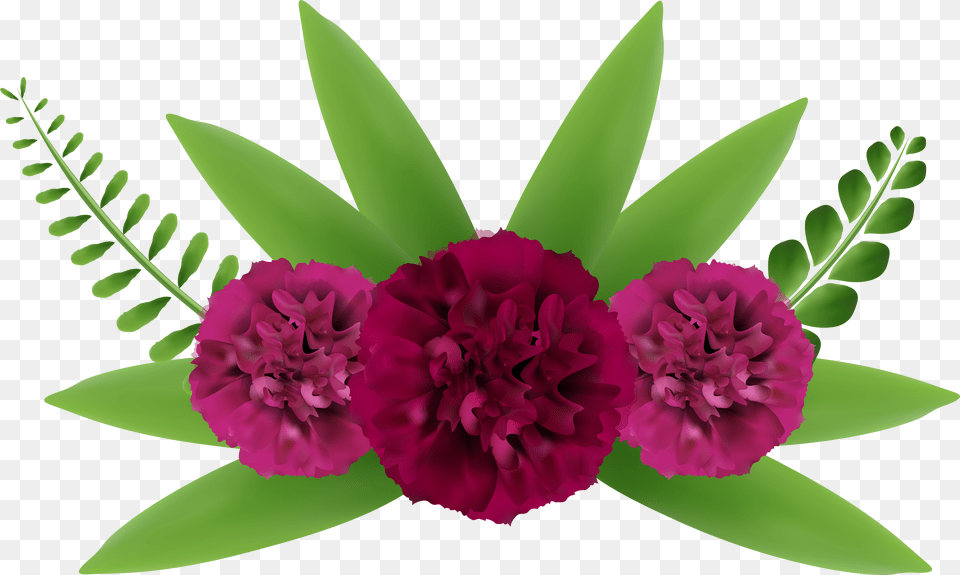 Beautiful Flowers Images Png