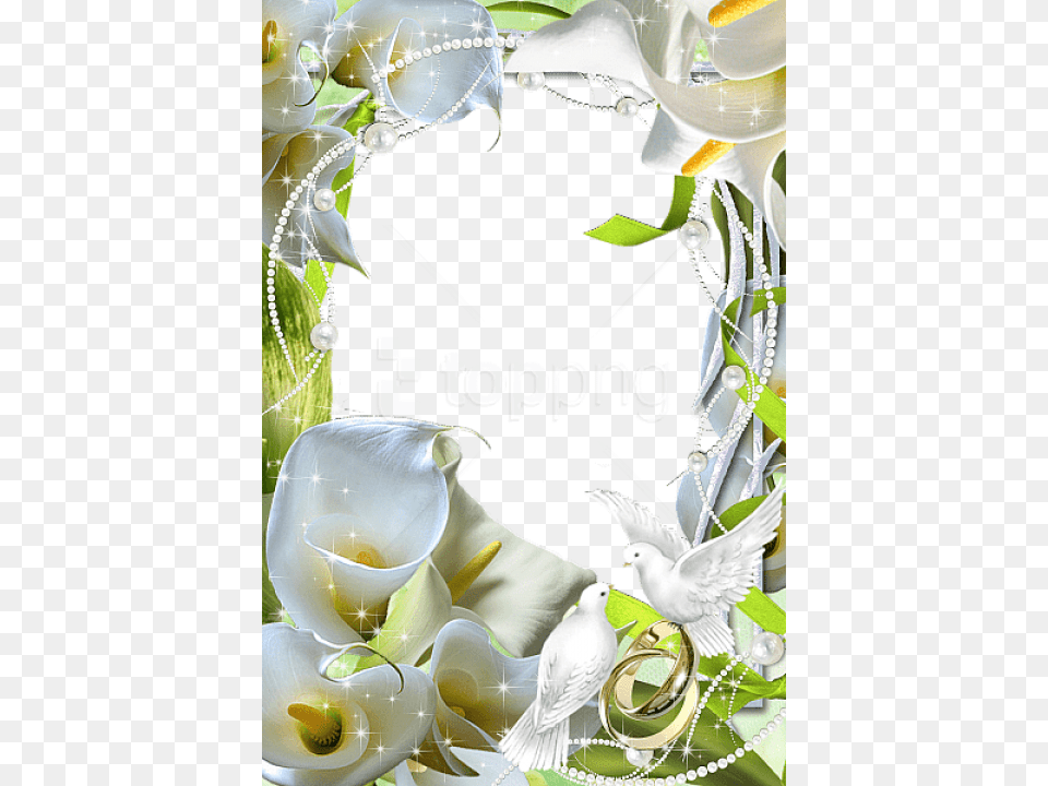 Beautiful Flowers Wedding Frame Wedding Flower Frame, Plant, Animal, Bird, Pattern Free Transparent Png