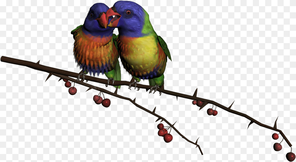 Beautiful Flying Birds Download Birds, Animal, Bird, Beak, Parakeet Png Image