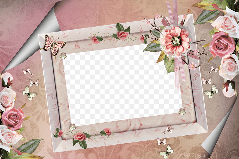 Beautiful Frames, Flower, Plant, Rose, Photo Frame Free Png