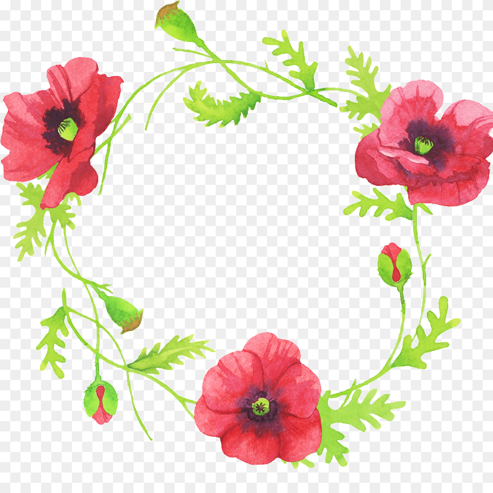 Beautiful Hand Painted Flower Red Garland Free Download, Plant, Poppy, Anemone Png Image