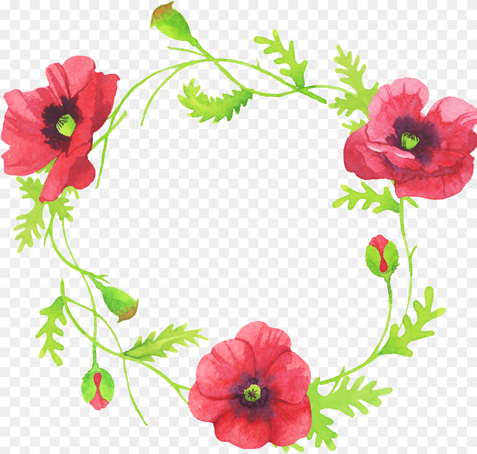 Beautiful Hand Painted Flower Red Garland Portable Portable Network Graphics, Plant, Poppy, Rose Png Image