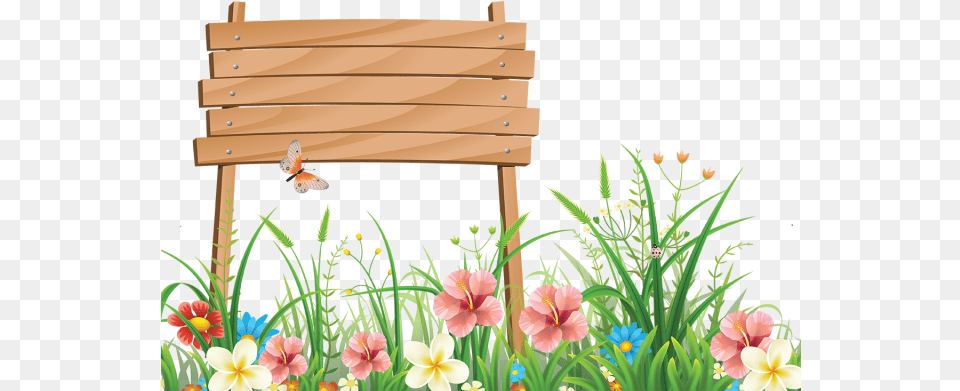 Beautiful Hd Photo Background, Nature, Outdoors, Spring, Flower Free Png