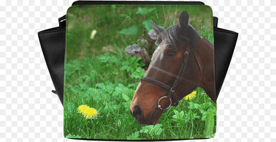 Beautiful Horse Face Green Grass And Yellow Dandelions Sorrel, Flower, Plant, Animal, Mammal Png