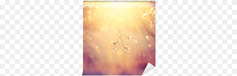 Beautiful Nature Scene With Blooming Tree And Sun Flare Dayspring Card Thank You, Light, Outdoors, Sky, Sunlight Free Transparent Png