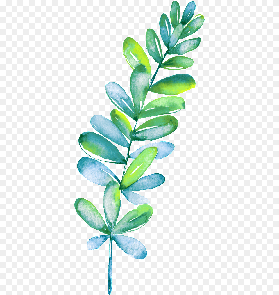 Beautiful Painted Green Plant Vector, Leaf, Accessories, Gemstone, Jade Png