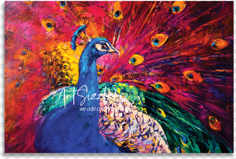 Beautiful Peacock, Animal, Bird, Chicken, Fowl Png