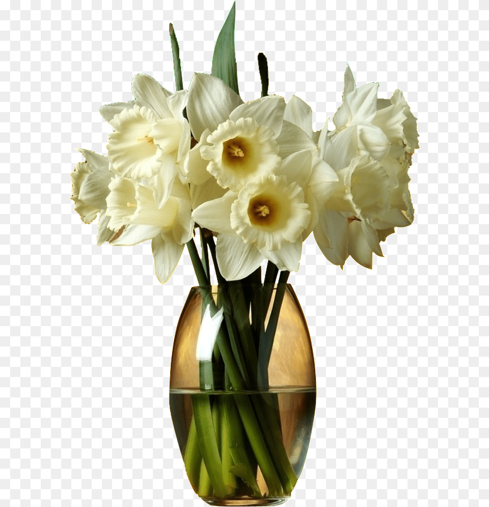 Beautiful Pink Flower Glass Vase Good Night Latest, Daffodil, Flower Arrangement, Plant, Flower Bouquet Png