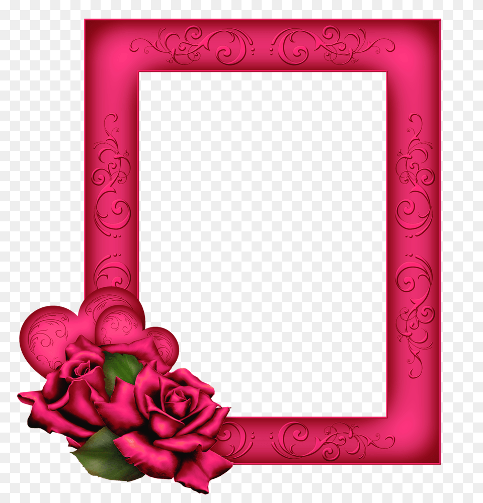 Beautiful Pink Frame With Gallery, Flower, Plant, Rose Png Image