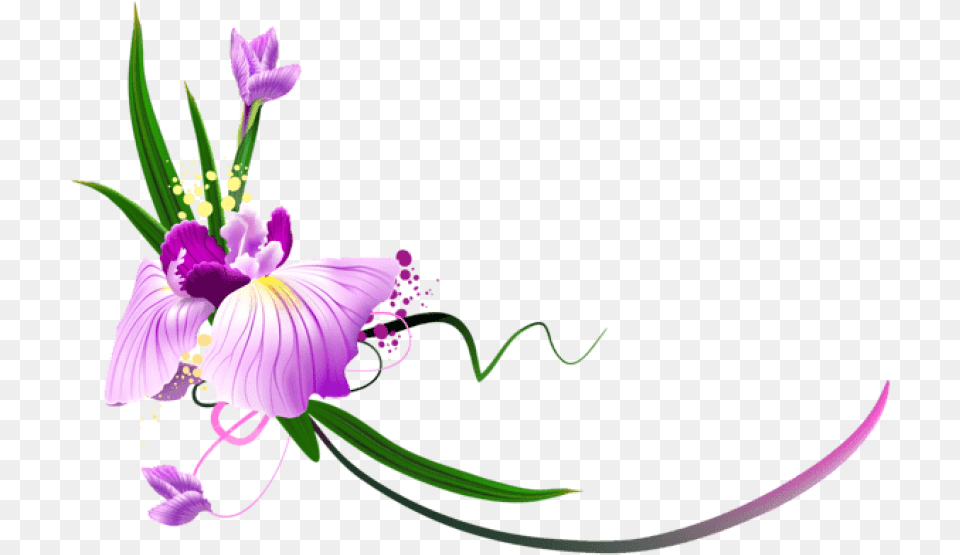 Beautiful Purple Floral Decor Clipart Border Clipart Flowers, Anther, Flower, Plant, Iris Png