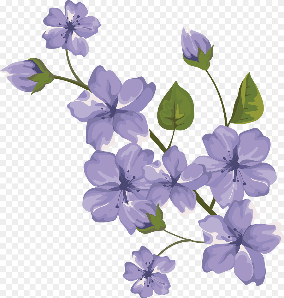 Beautiful Purple Flower Free Purple Flower Free, Geranium, Plant, Petal, Anemone Png Image
