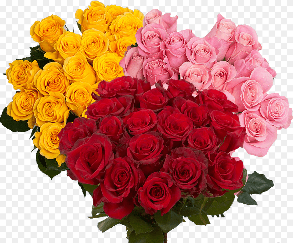 Beautiful Red And Color Roses Rose, Flower, Flower Arrangement, Flower Bouquet, Plant Png Image