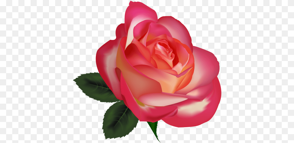 Beautiful Rose Clipart Image The Best Clipart Rosas O Flores, Flower, Plant, Petal Free Png Download