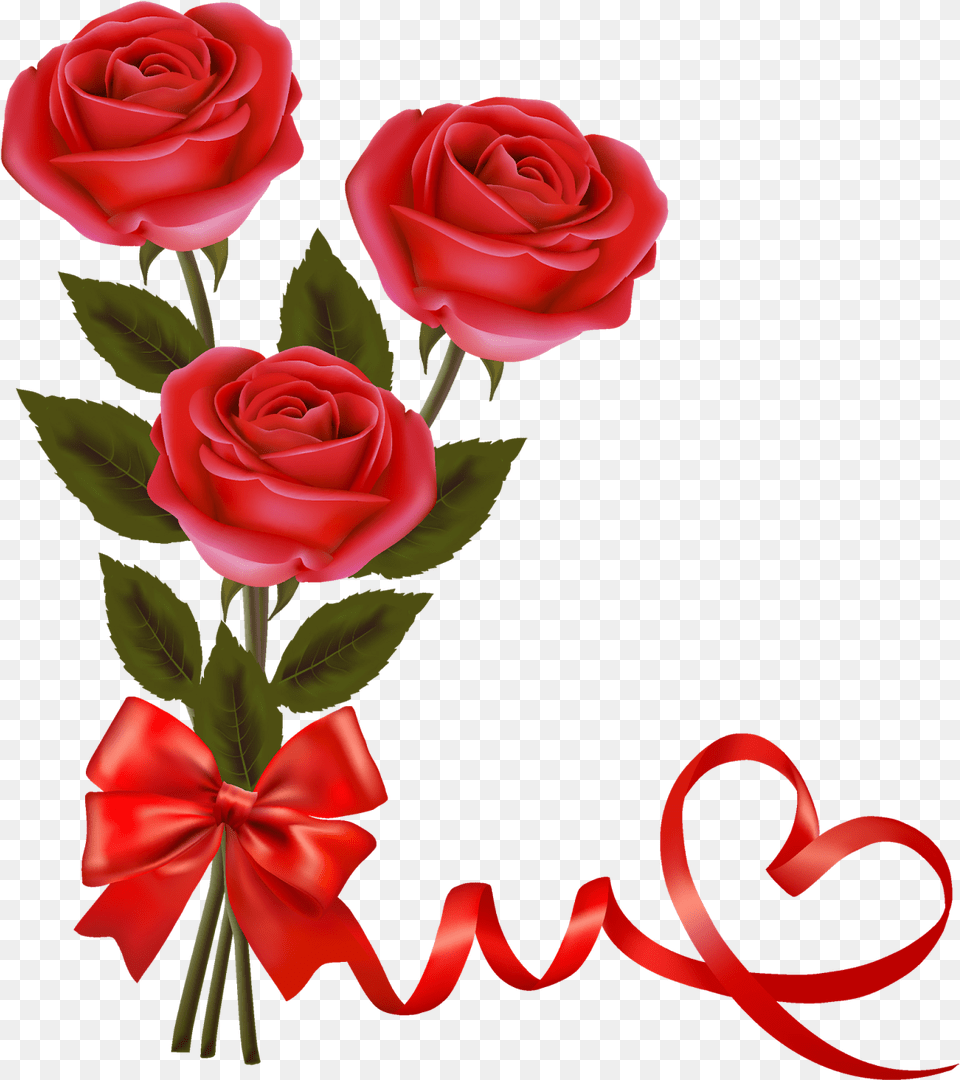 Beautiful Rose Hd, Flower, Plant, Flower Arrangement, Flower Bouquet Free Png