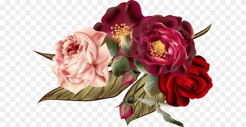 Beautiful Roses 4 02 Beautiful Roses Beautiful Victorian Roses Throw Blanket, Art, Floral Design, Flower, Flower Arrangement Free Png