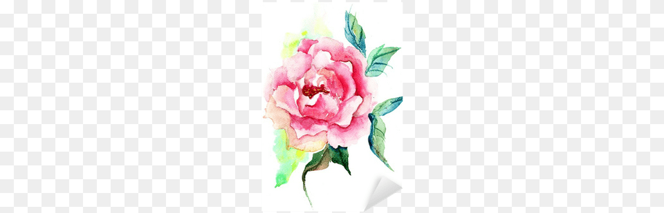 Beautiful Roses Flowers Watercolor Painting Sticker Watercolor Painting, Flower, Plant, Rose, Pattern Free Transparent Png