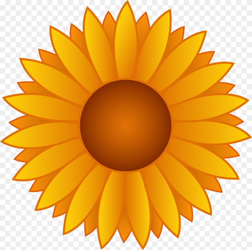 Beautiful Sunflower Clipart, Daisy, Flower, Plant, Petal Png Image