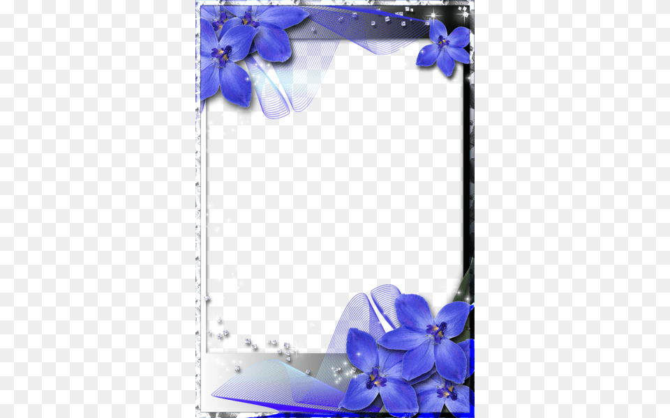 Beautiful Transparent Frame With Blue Orchids Beautiful Borders And Frames, Anemone, Plant, Petal, Purple Free Png