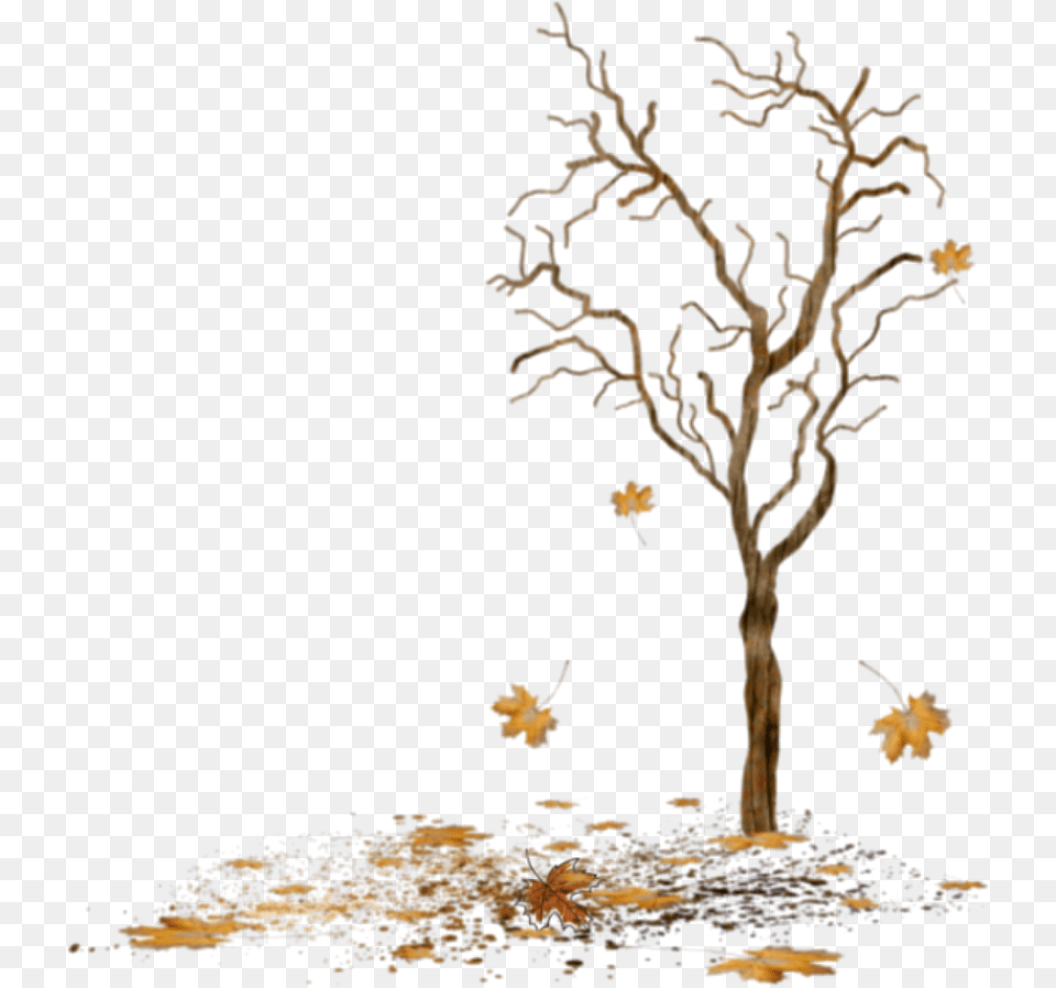 Beautiful Tree Icon And Background Bare Tree With Leaves Falling, Plant, Art, Painting, Flower Free Png Download