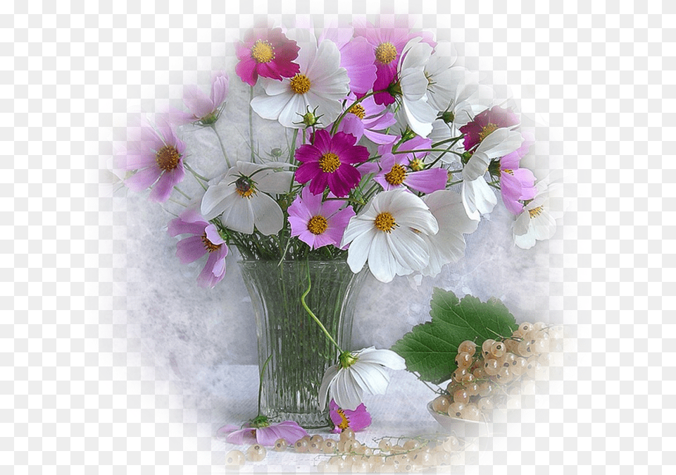Beautiful Trims Flowers Graphics Quot Mooi Blomme, Anemone, Petal, Flower Bouquet, Flower Arrangement Png Image