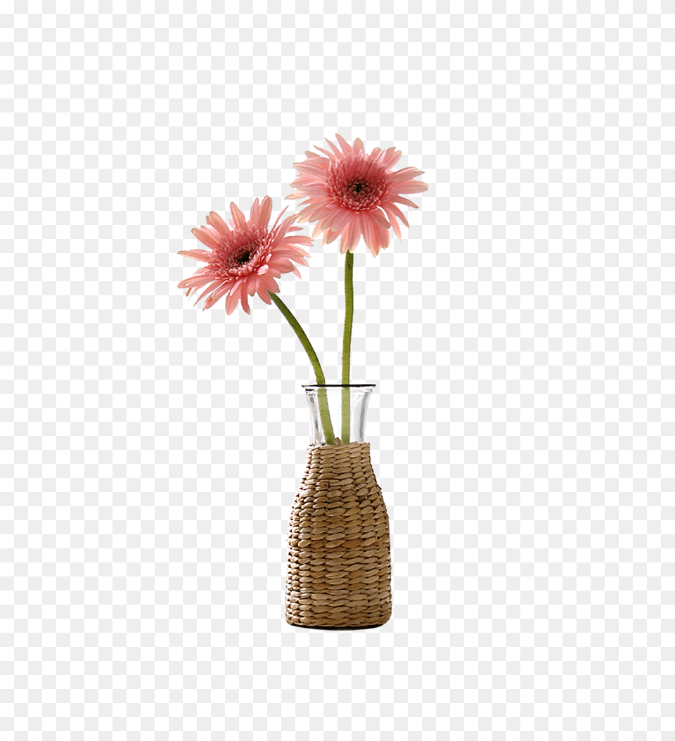 Beautiful Vase Flower Decoration Vector Download, Flower Arrangement, Pottery, Jar, Plant Png Image