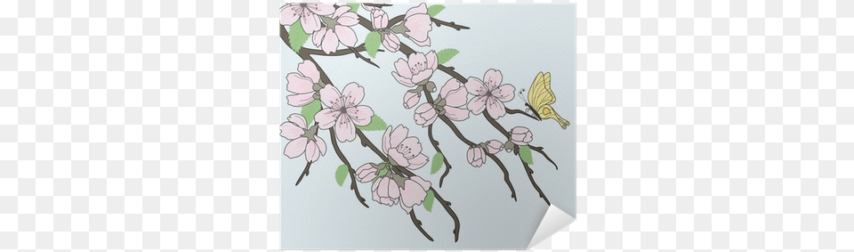 Beautiful Vector Sakura Branch With Flowers And Butterfly Ramas Sakura, Flower, Plant, Cherry Blossom, Pattern Free Png
