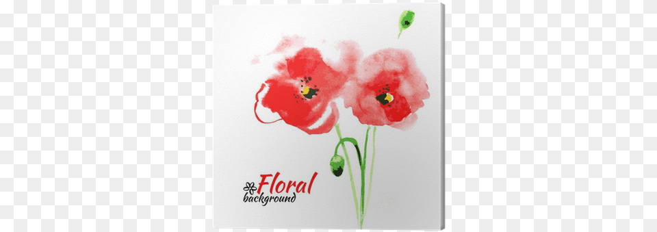 Beautiful Watercolor Paint Red Poppy 15 X 13 X 4 Biodegradable Cotton Tote With Multi Color, Flower, Plant, Envelope, Greeting Card Png Image