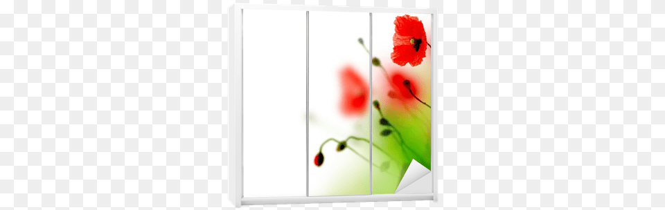 Beautiful Watercolor Poppy Border Wardrobe Sticker Watercolor Painting, Flower, Plant, White Board Free Png Download