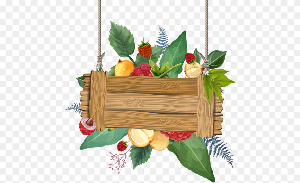 Beautiful Watercolor Tropical Summer Fruits Tropical Wooden Hanging, Leaf, Plant, Flower, Citrus Fruit Png