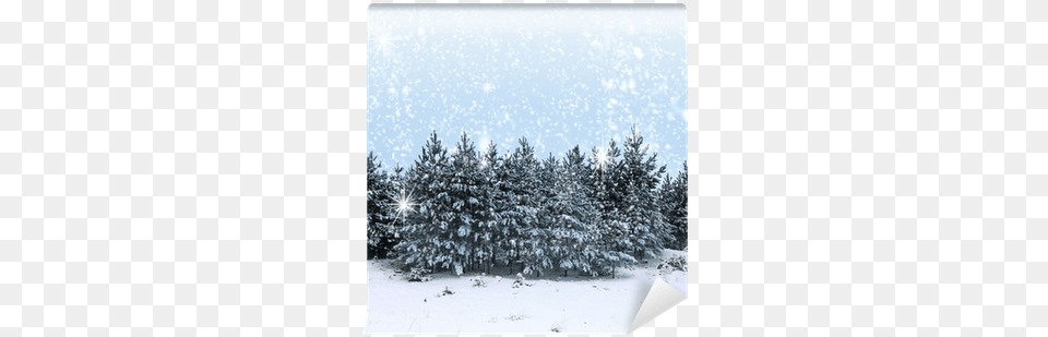 Beautiful Winter Landscape With Snow Covered Trees Landscape, Fir, Plant, Tree, Nature Free Transparent Png