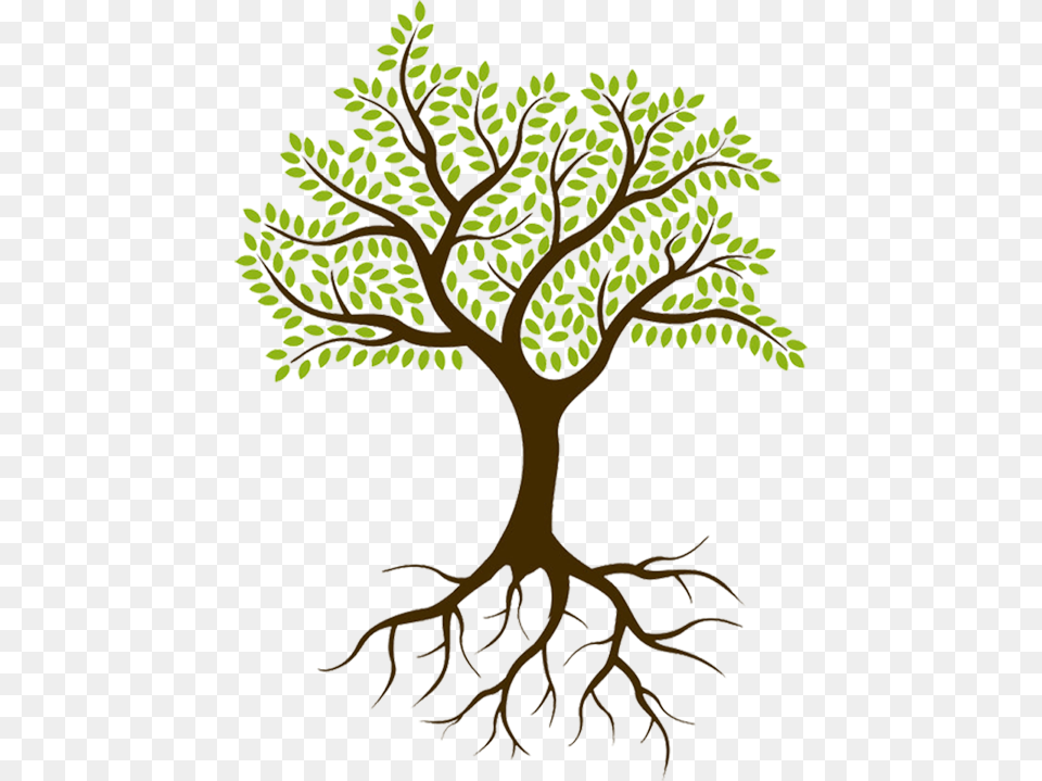 Beautiful World Exposed, Plant, Tree, Root, Animal Free Png