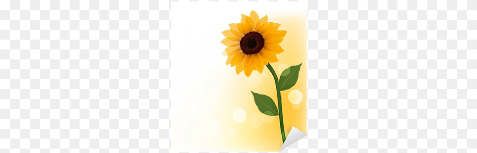 Beautiful Yellow Sunflower Beautiful Sunflower, Flower, Plant, Daisy Free Transparent Png