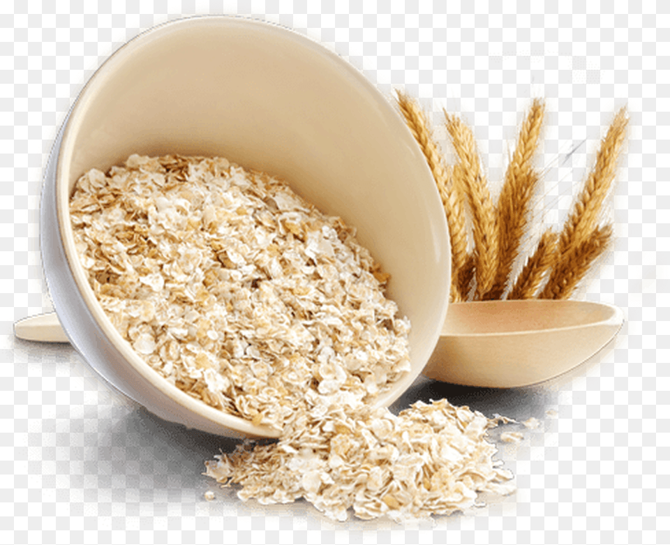 Beautifully Blended Oatmeal Sweet Cinnamon And Sugar Free Png