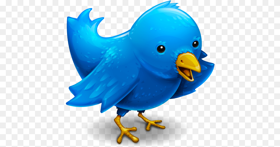 Beautifully Designed Mac Apps Icons Twitter Funny Icon, Animal, Beak, Bird Free Transparent Png