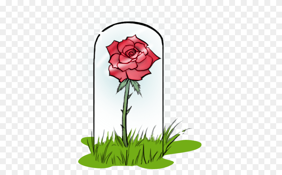 Beauty And The Beast Rose, Flower, Plant, Gravestone, Tomb Free Png Download