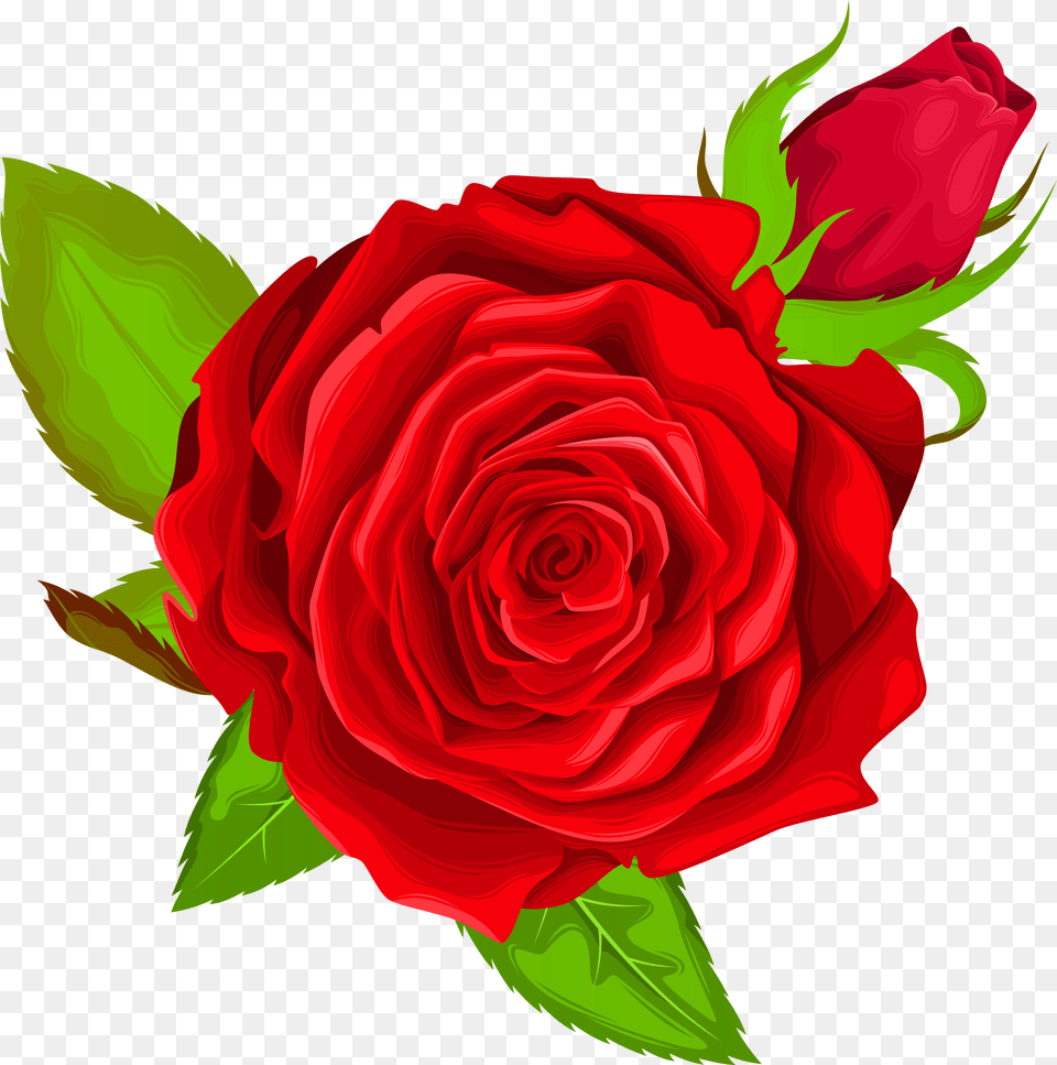Beauty And The Beast Rose Free Png Download