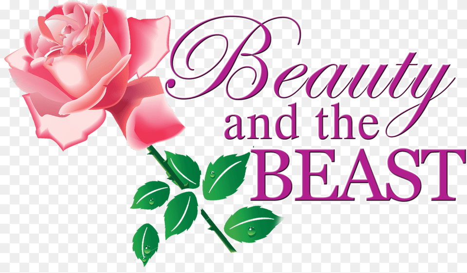 Beauty And The Beast Writing, Flower, Plant, Rose, Petal Free Png