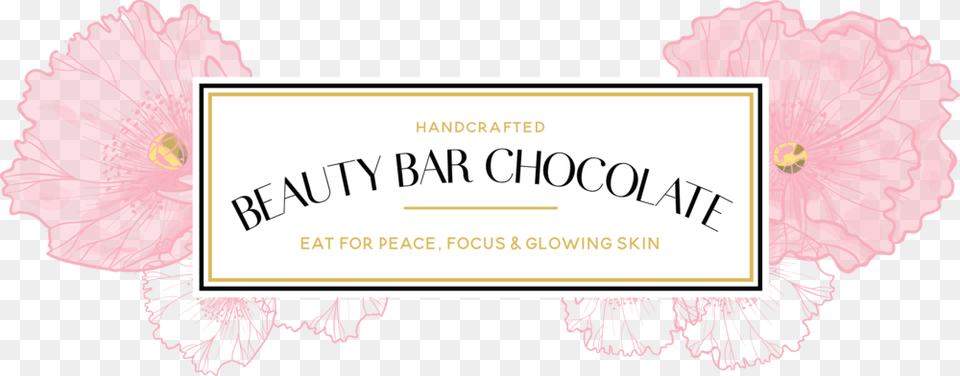 Beauty Bar Logo Curved Calligraphy, Text, Baby, Person, Diploma Png Image