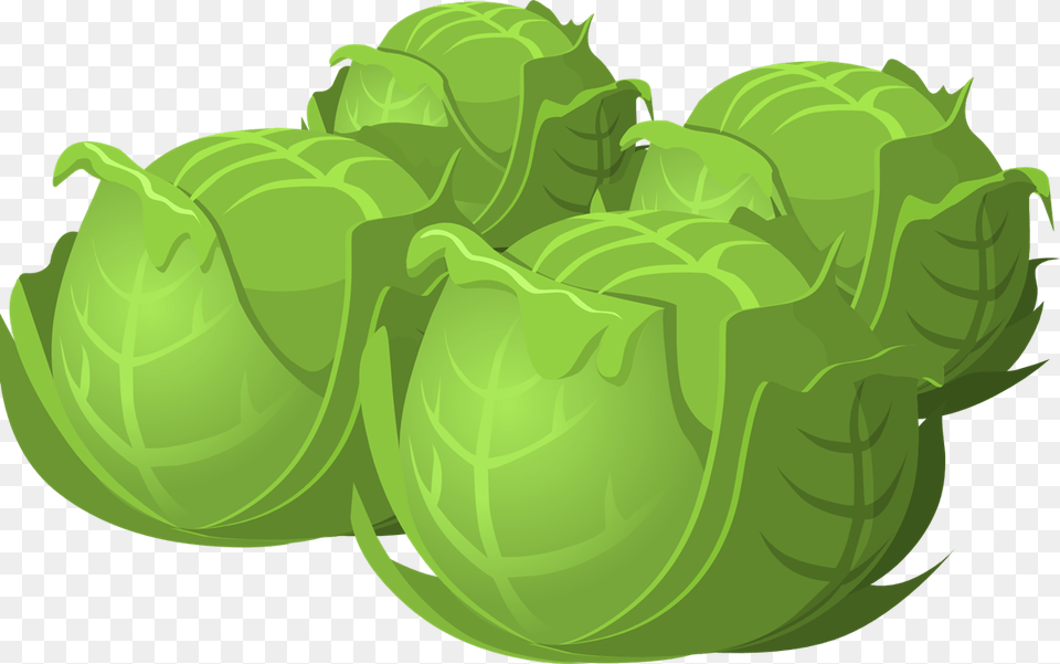Beauty Benefits Of Cabbage Cartoon, Green, Food, Leafy Green Vegetable, Plant Free Png