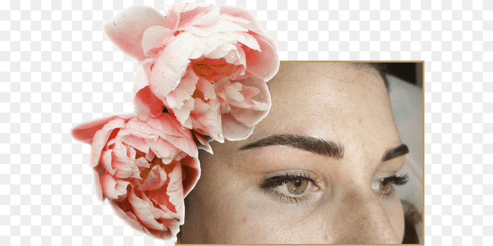 Beauty By B Headpiece, Head, Face, Person, Plant Png Image