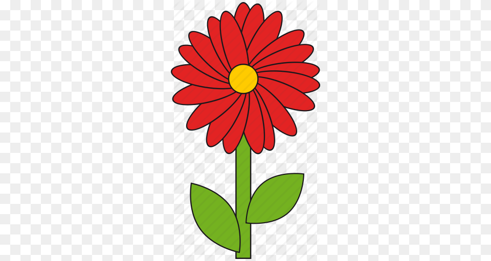 Beauty Flower Nature Red Summer Icon, Daisy, Plant, Petal, Dynamite Png Image