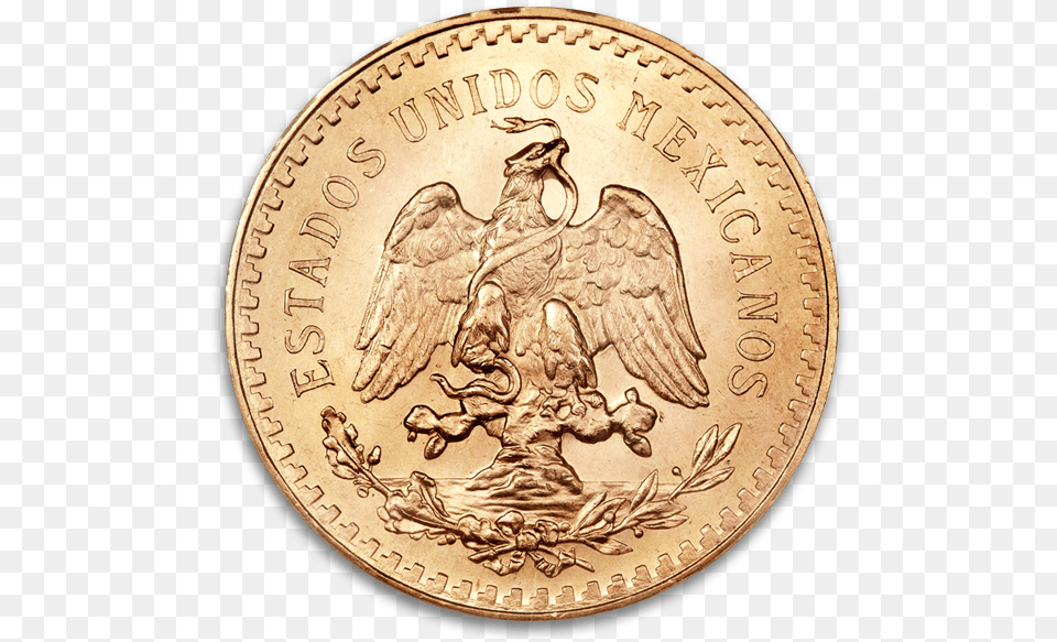 Beauty History And Value Gold, Coin, Money, Animal, Bird Png Image