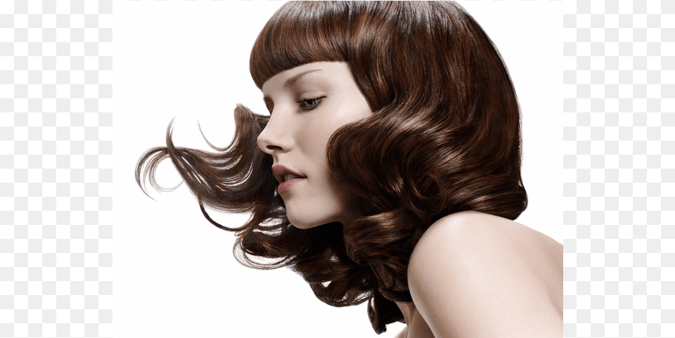 Beauty Salon, Adult, Face, Female, Head Free Png Download