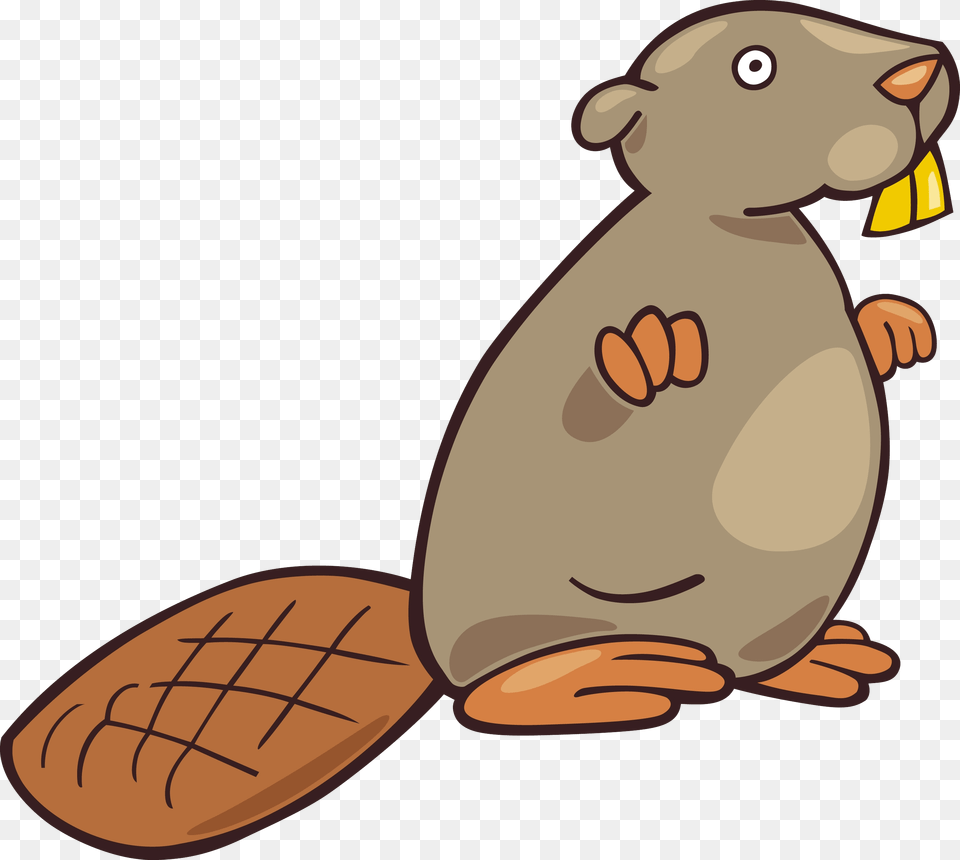 Beaver, Animal, Mammal, Rodent, Wildlife Png Image