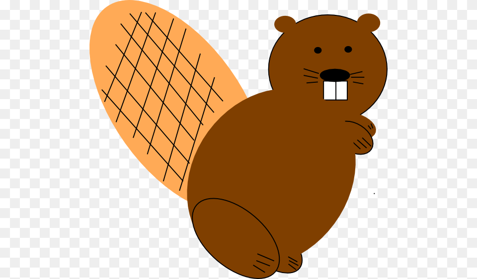 Beaver, Animal, Rodent, Wildlife, Mammal Free Png Download