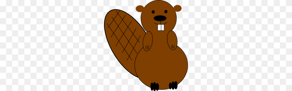 Beaver, Animal, Bear, Mammal, Wildlife Free Png Download