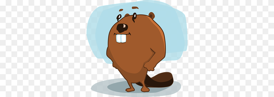 Beaver Animal, Mammal, Rodent, Bear Free Png