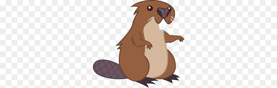 Beaver, Animal, Mammal, Rodent, Wildlife Png