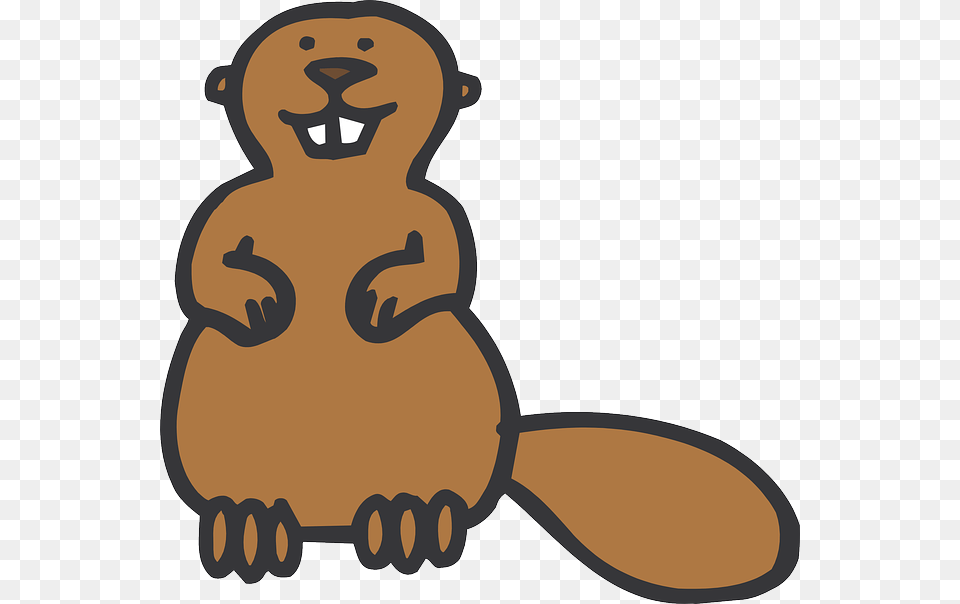 Beaver, Animal, Mammal, Rodent, Wildlife Free Png